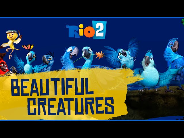 Barbatuques - Beautiful Creatures